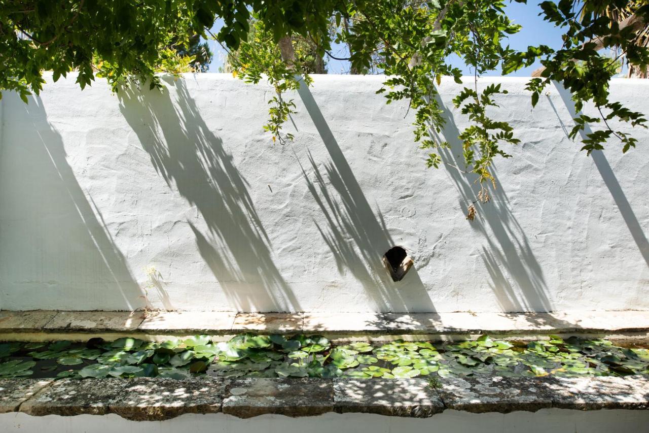 Altanure Quinta Sol D'Agua - Ecological Holiday Villa Ταβίρα Εξωτερικό φωτογραφία